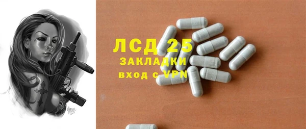 прущий лед Бородино