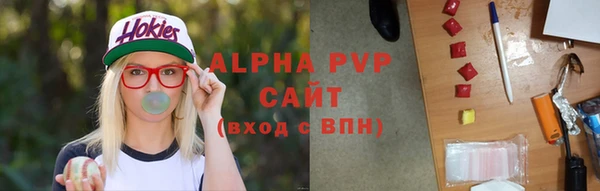 прущий лед Бородино