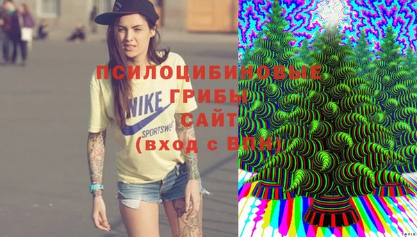 PSILOCYBIN Бугульма