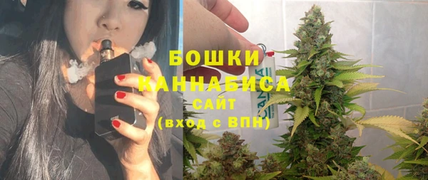 прущий лед Бородино