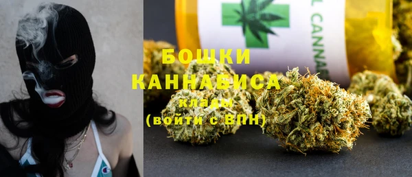 PSILOCYBIN Бугульма