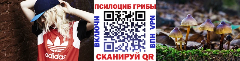 Галлюциногенные грибы GOLDEN TEACHER  Ельня 